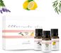 Zenful Etherische olie set - Aromatherapie olie - Essentiele oliën - Aroma olie - Diffuser olie