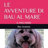LE AVVENTURE DI BAU AL MARE: IL MIO MARE