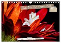 La CALVENDO La Mante Orchidée (Calendrier mural 2027 DIN A4 vertical), CALVENDO calendrier mensuel