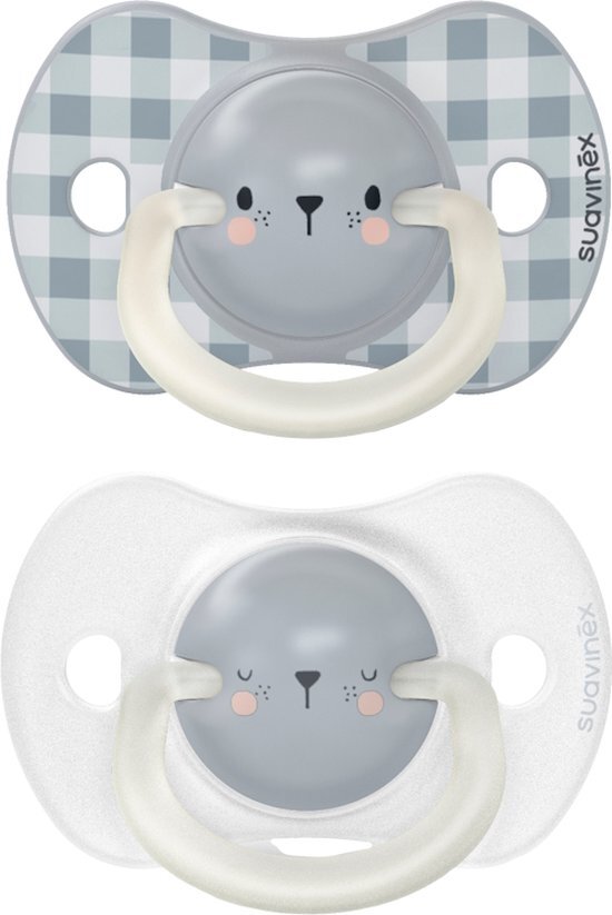 Suavinex Night & Day Reversible Duo Bear Blue 2 stuks 0-6m Silicone Fopspenen SXSNP1082761