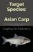 Target Asian Carp: Discovering the Challenge and Beauty of an Unconventional Catch