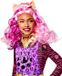 Rubies Masquerade Clawdeen Wolf Child Wig (NS)