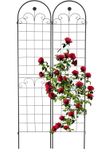 Relaxdays Plantenklimrek set van 2 - 220x50 cm - metaal - zwart