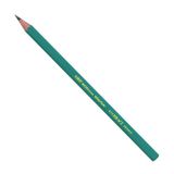 BIC Evolution Original HB Grafiet Potloden - Doos van 12 Stuks