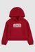Levi's Kids Meet And Greet Seasonal Hoodie Red 10 Years Girl