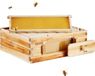Boîte à abeilles Langstroth, format medium, complète avec 10 cadres et cadres d'abeilles en acrylique
