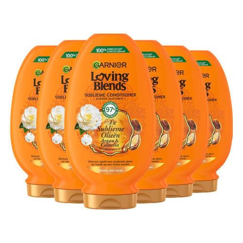 Garnier Loving Blends Argan- & Cameliaolie Conditioner - 6 x 250 ml - Voordeelverpakking