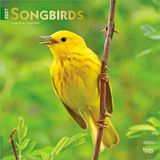 Songbirds Brown Trout Songbirds 2027 12 X 24 Inch (Hanging) Monthly Square Wall Calendar Foil Stamped Cover Plastic-Free