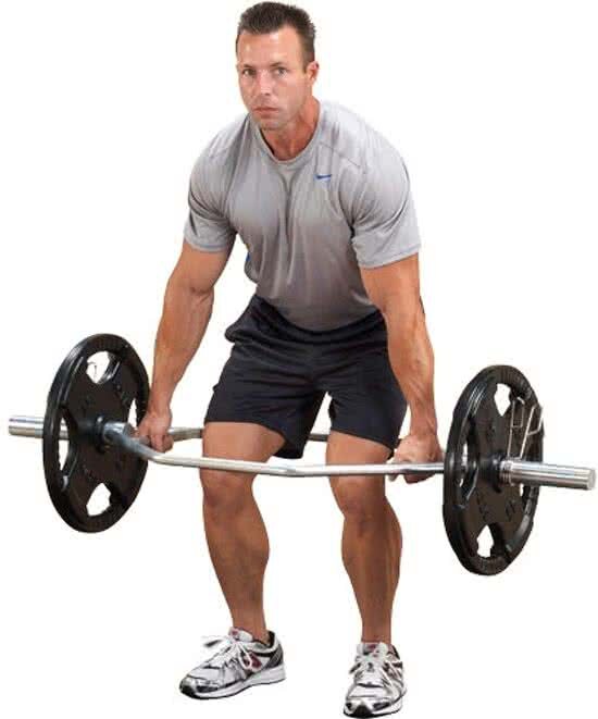 Body-Solid Olympic Shrug Bar