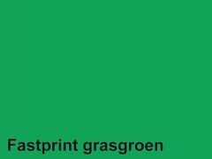 Fastprint Kopieerpapier A4 160gr grasgroen 250vel