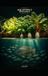 Aquaponics Reimagined: The Complete Science of Fish–Bacteria–Plant Symbiosis for Home Growers