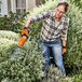 Stihl HSA 26 AS Accu Gras- en Buxusschaar