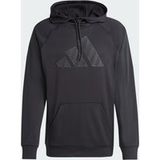 Adidas Icecat Game and go training big logo hoodie