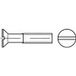 TOOLCRAFT TO-6862815 Vis tête fraisée M8 45 mm Fente DIN 963 Acier inoxydable V4A A4 50 pièce(s)