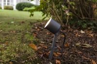 LUTEC TUINSPOT EXPLORER 43CM 5.3W 300LM