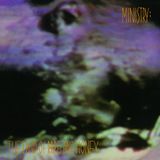 Ministry Land of Rape and Honey/Vinyle Noir Audiophile 180gr
