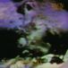 Ministry Land of Rape and Honey/Vinyle Noir Audiophile 180gr
