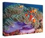 CCRETROILUMINADOS Frame met achtergrondverlichting, oceaan