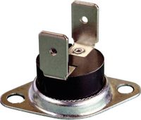 Thermorex TK24-T02-MG01-Ö75-S65 Bimetaalschakelaar 250 V 16 A Température d'ouverture (± 5 °C) 75 °C Température de fermeture 65 °C 1 pièce(s)