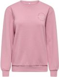 Only Play Sweatshirt ONPCAVA Lilas