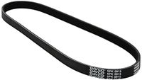 Metzger 5PK915 DAYCO V-riem