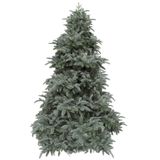 Triumph Tree Abies Nordmann kunstkerstboom forest blauw/blue d160 h230 cm