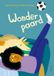 Querido Wonderpaard (Hardback)