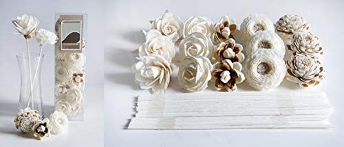 Plawanature DIY 15 Mixed Designs Sola Flower Reed Diffuser Stick 2" for Home Fragrance