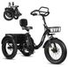 T302 Pro Tricycle électrique