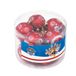 Paw Patrol Boule de Noël Amitié Rouge 10 Pièces Plastique (Ø 6 cm)