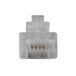 ACT TD104M RJ11 (6P/4C) Modulaire Connector | Ronde Kabel met Massieve Aders - 25 stuks