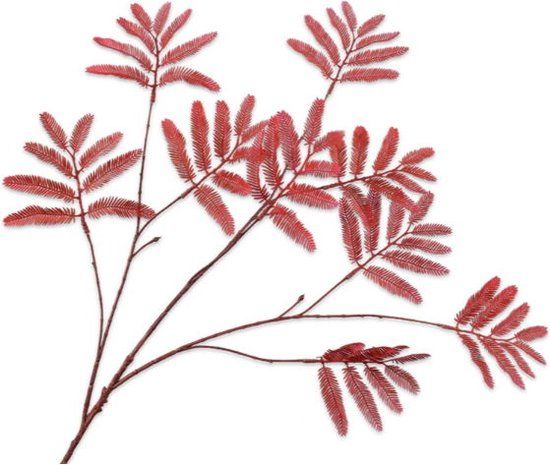 Merkloos Silk-Ka Mimosasteel l104 cm rood