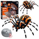 Wisam RC-Auto Araignée télécommandée, araignée rouge, infrarouge, noir, R/C ST