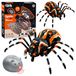 Wisam RC-Auto Araignée télécommandée, araignée rouge, infrarouge, noir, R/C ST
