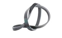 Contitch Continental Contitech 4PK775 V-ribband