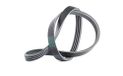 Contitch Continental Contitech 4PK775 V-ribband