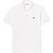 Lacoste T-shirt et Polo Blanc