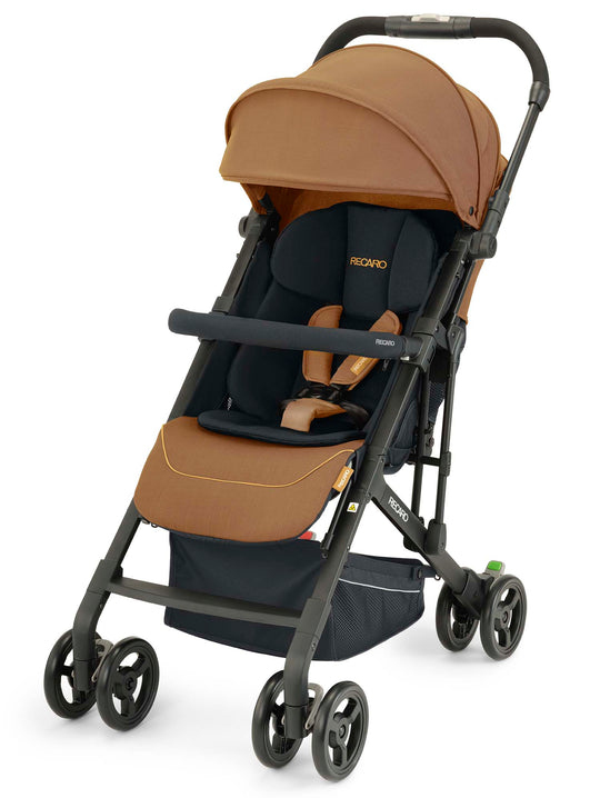 Recaro EASYLIFE ELITE 2