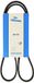Dayco 4PK1130 V-V-V-riem