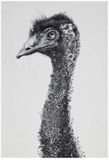Maxwell & Williams Marini Ferlazzo Emu Theedoek Grijs 50x70 Cm