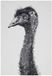 Maxwell & Williams Marini Ferlazzo Emu Theedoek Grijs 50x70 Cm