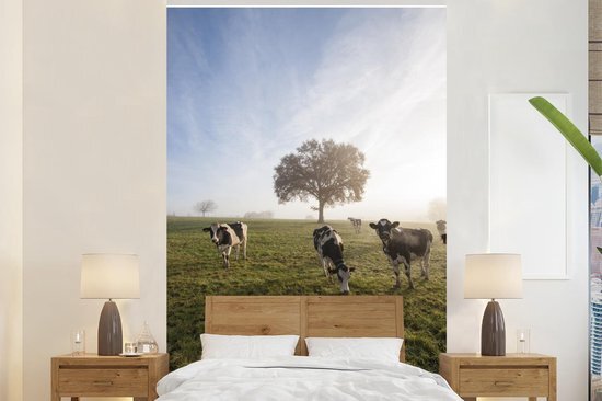 Nr1Wallpaper Behang - Fotobehang Koeien - Licht - Mist - Breedte 195 cm x hoogte 300 cm