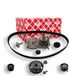 febi bilstein 36444 tandriemset met waterpomp