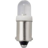 TRU COMPONENTS TC-12249932 Lampe LED multi-tension 3 V/CC, 15 V/CC BA9s Blanc froid 1 pièce