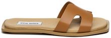 Steve Madden Vrouwenslippers Sofia Bruin