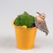 Season Inspired Decoration Farmwood Season Inspired Decoration Farmwood animals pothanger vogel grutto 10x5x7.5cm polyresin