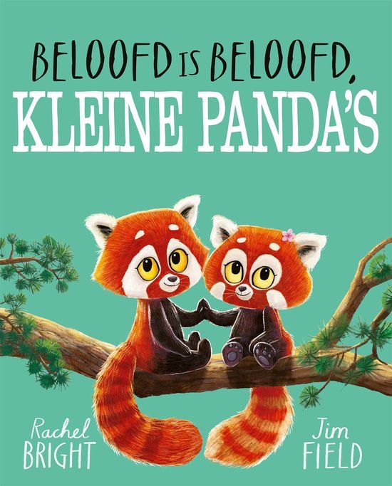 Gottmer Beloofd is beloofd, kleine panda's - Rachel Bright