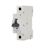 Automatische schakelaar 6KA 1P B 50A, ideaal voor de bescherming van stroomcircuits in woon- en industriële installaties.