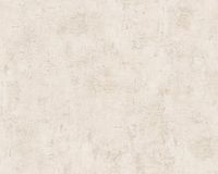 A.S. Création BETONLOOK BEHANG | Industrieel - beige