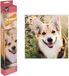 Grafix Craft ID Diamond painting Chien lavande | 30 x 30 cm